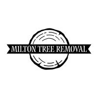 Milton Tree Removal image 1